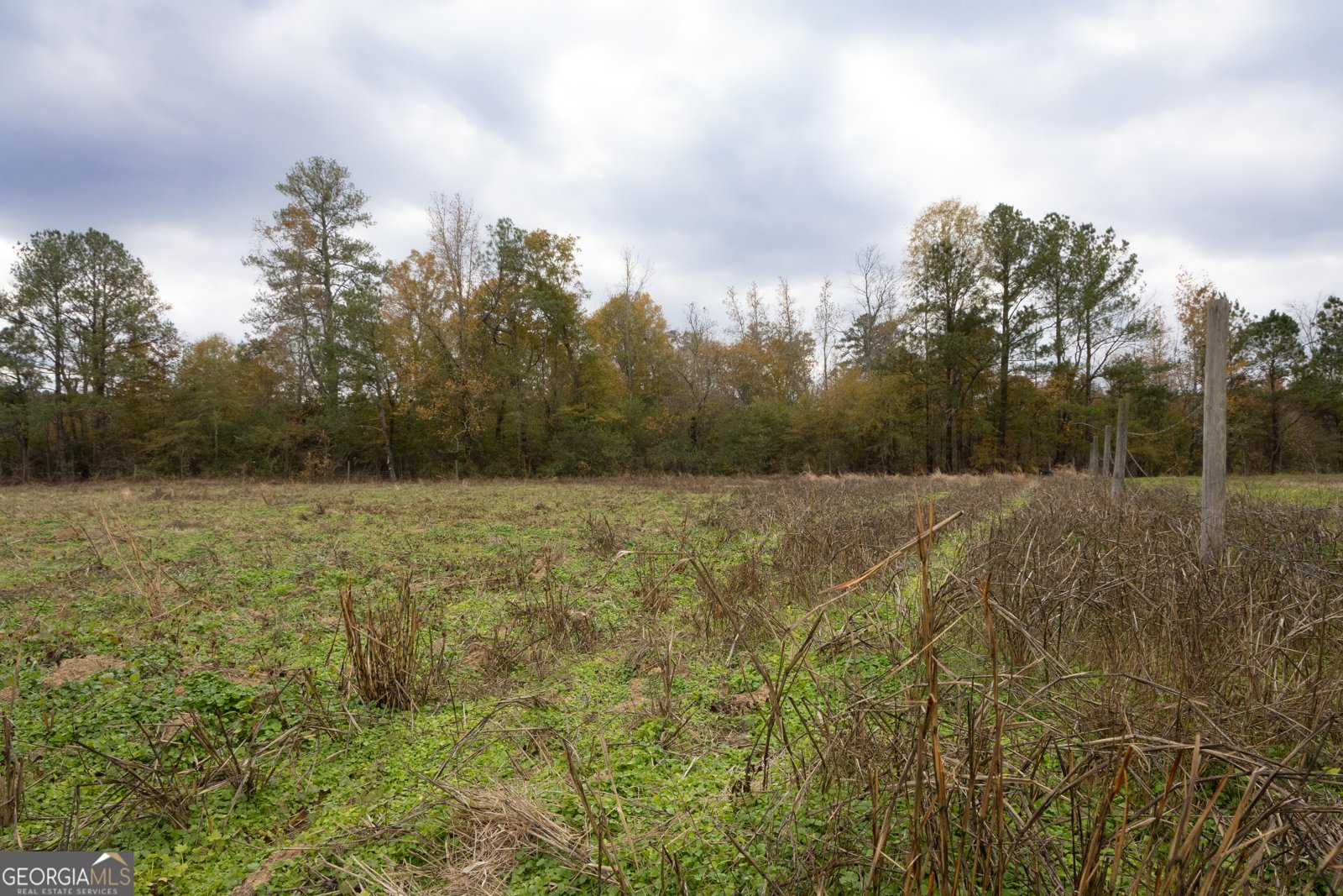 11625 AL Hwy 68 Gaylesville - 8