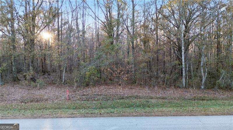 160 Old Sandhill Road Carrollton - 3