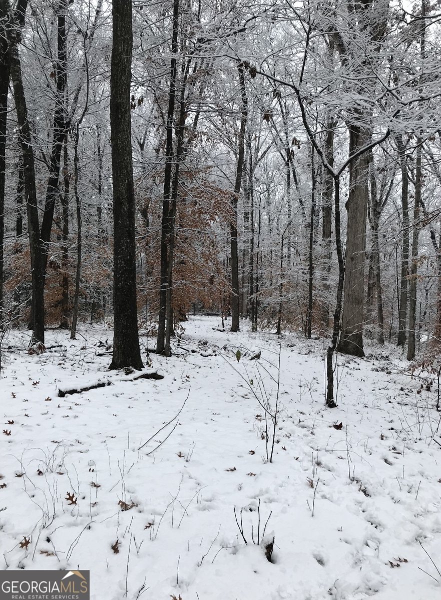 550 Rays Road Stone Mountain - 15