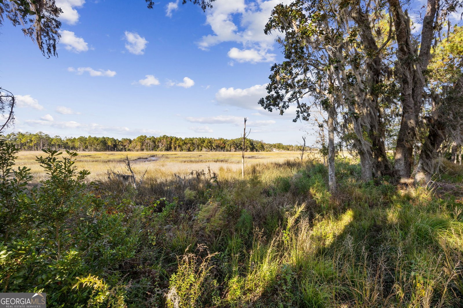 183 Rainbow Lane Woodbine - 2