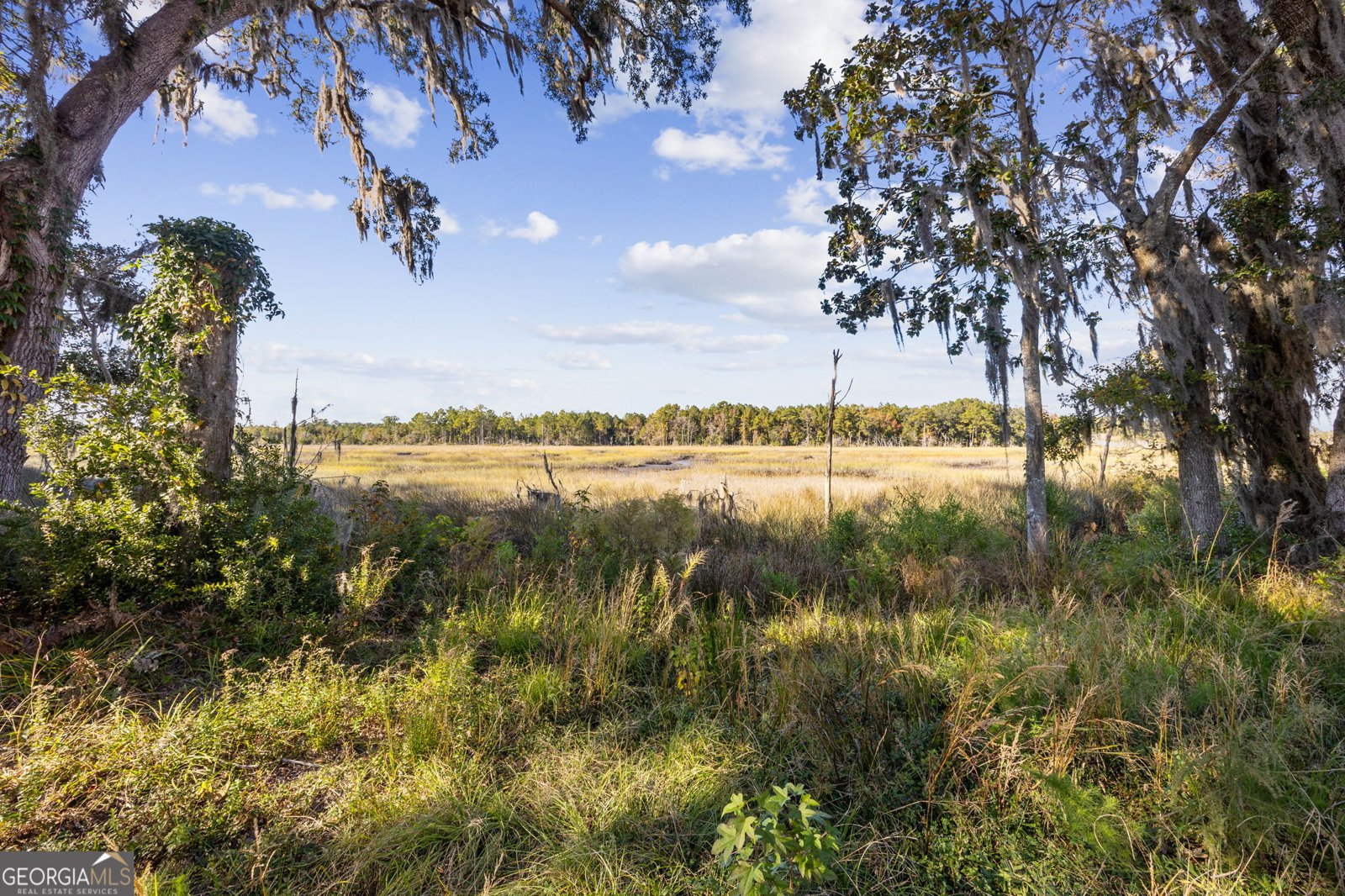 183 Rainbow Lane Woodbine - 3