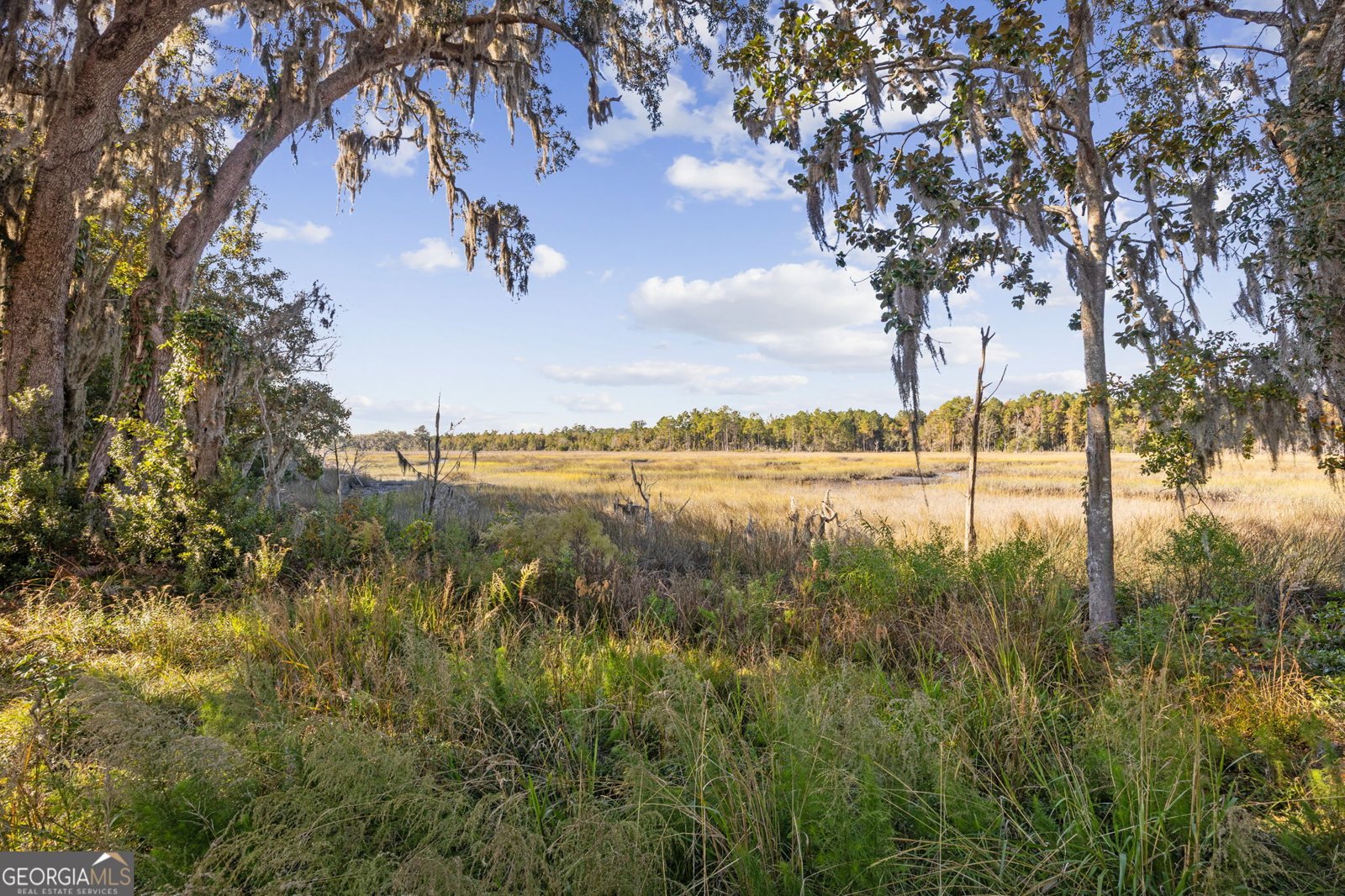 183 Rainbow Lane Woodbine - 4