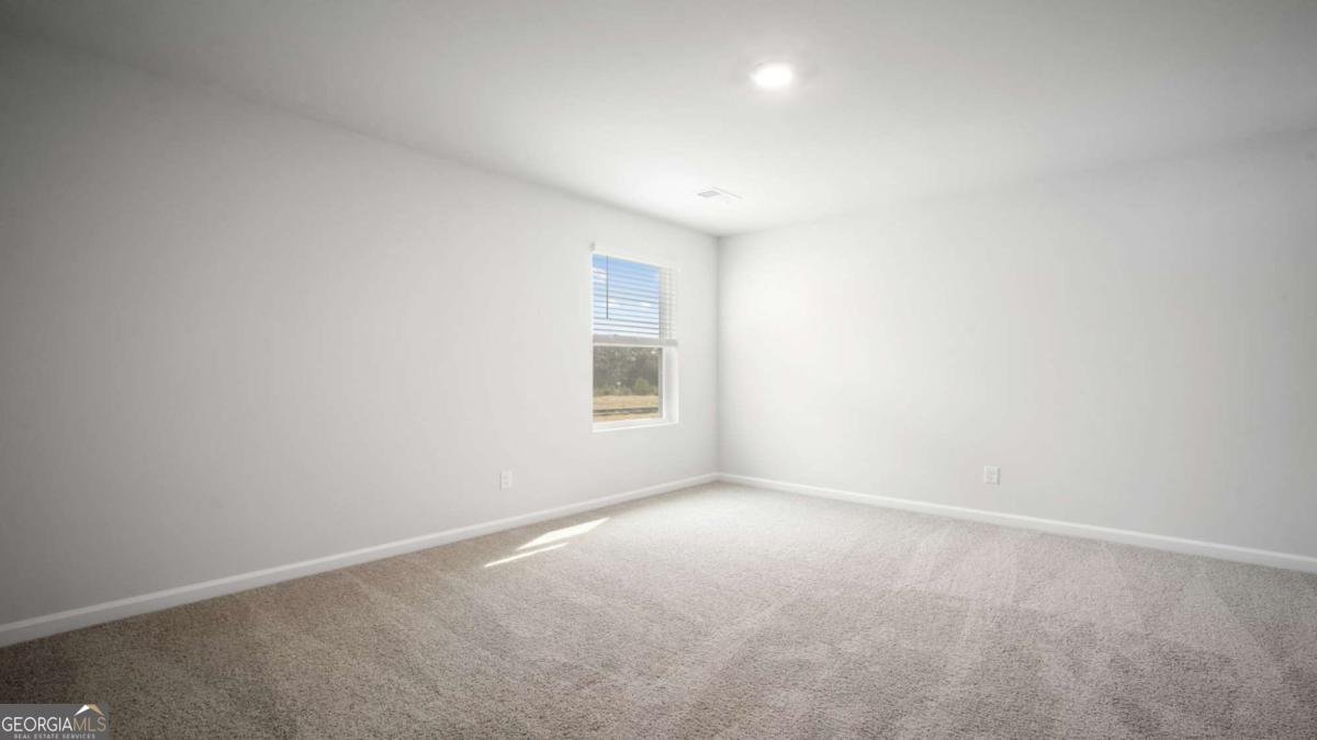 308 Flax Street Statesboro - Photo 20