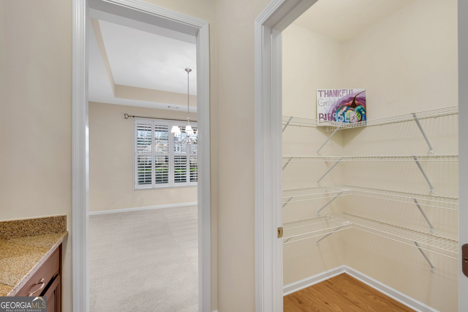 209 BIG CEDAR Run Canton - 12