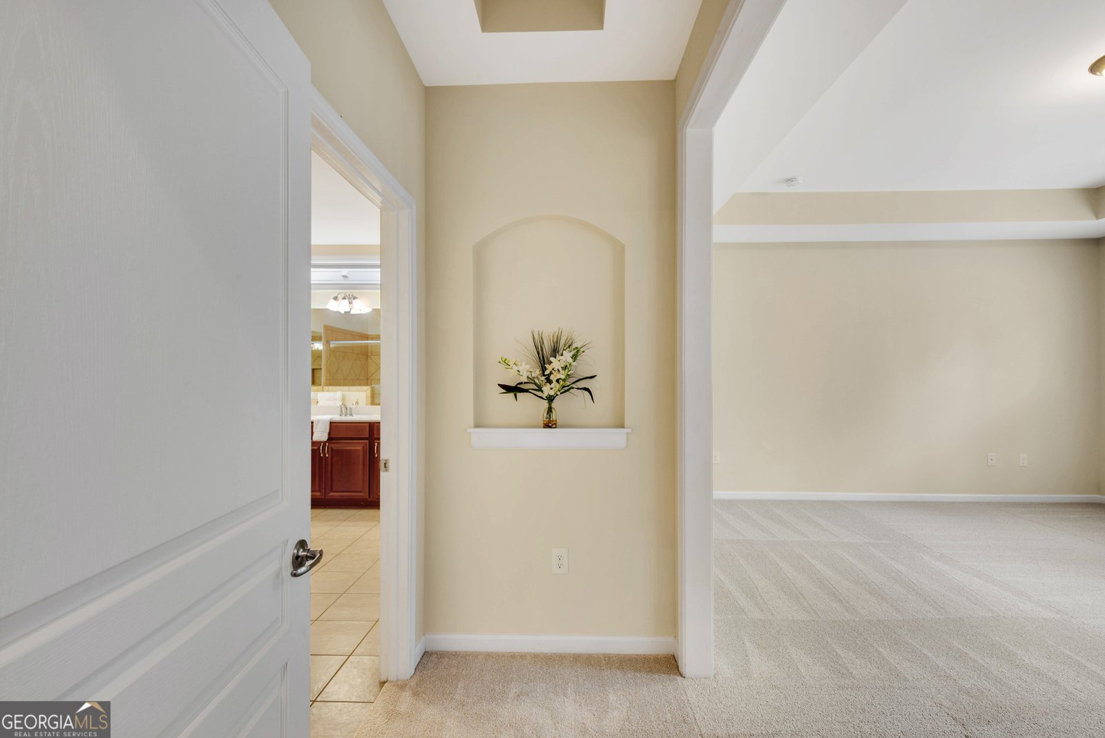 209 BIG CEDAR Run Canton - 24