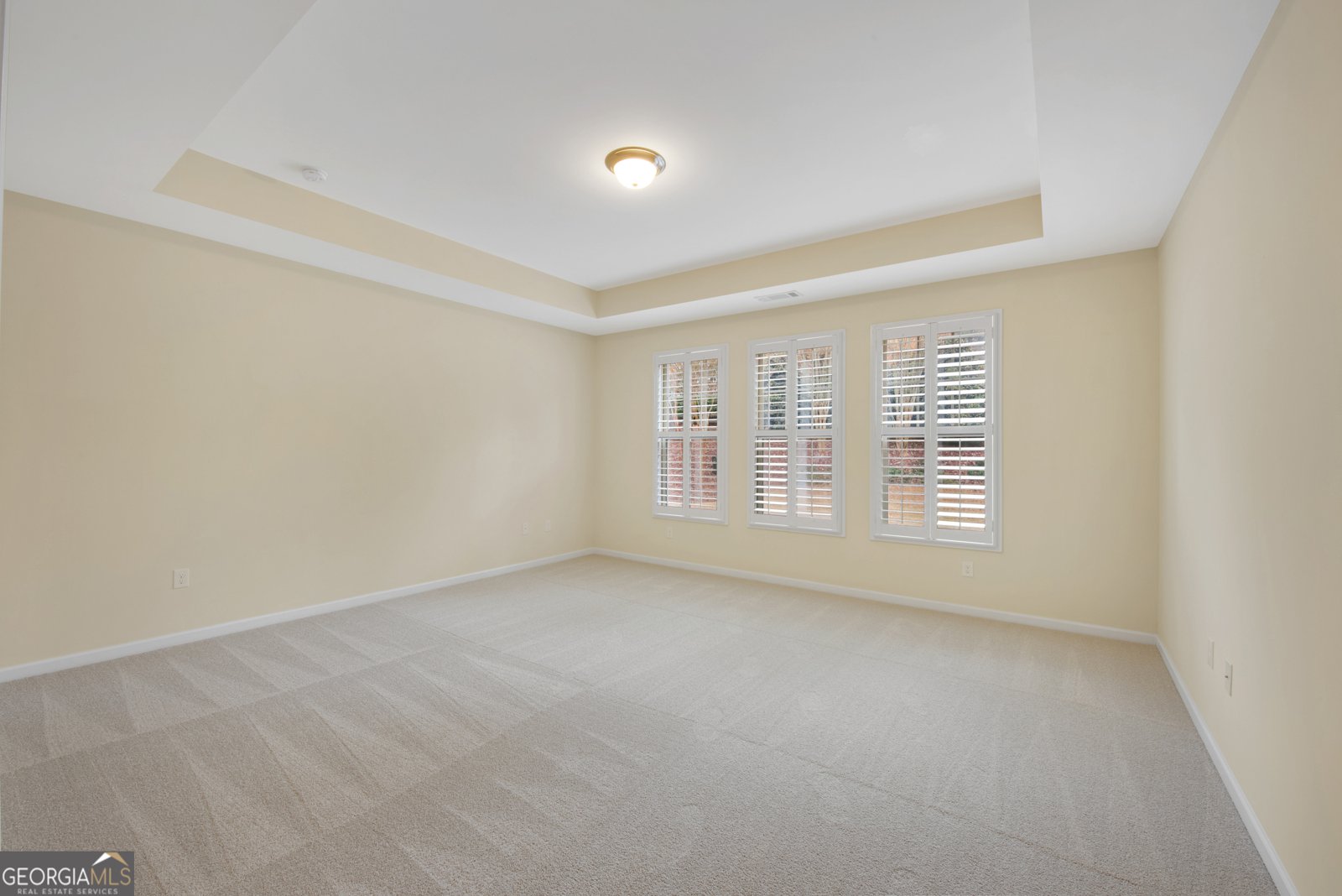 209 BIG CEDAR Run Canton - 25