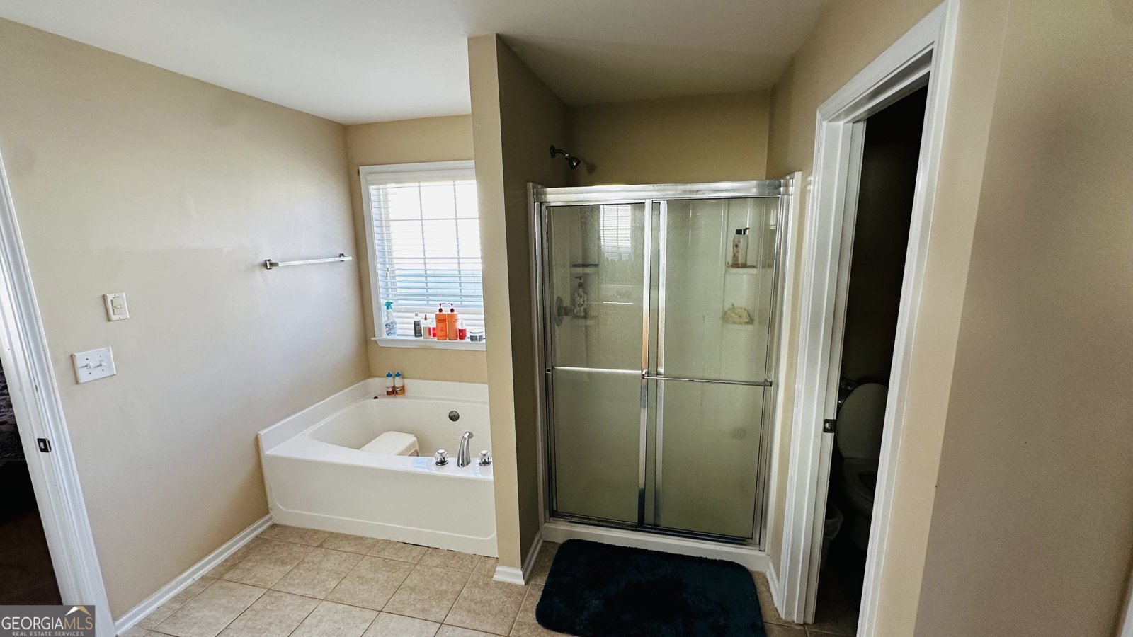 3301 Kessock Ridge Trail Snellville - 20