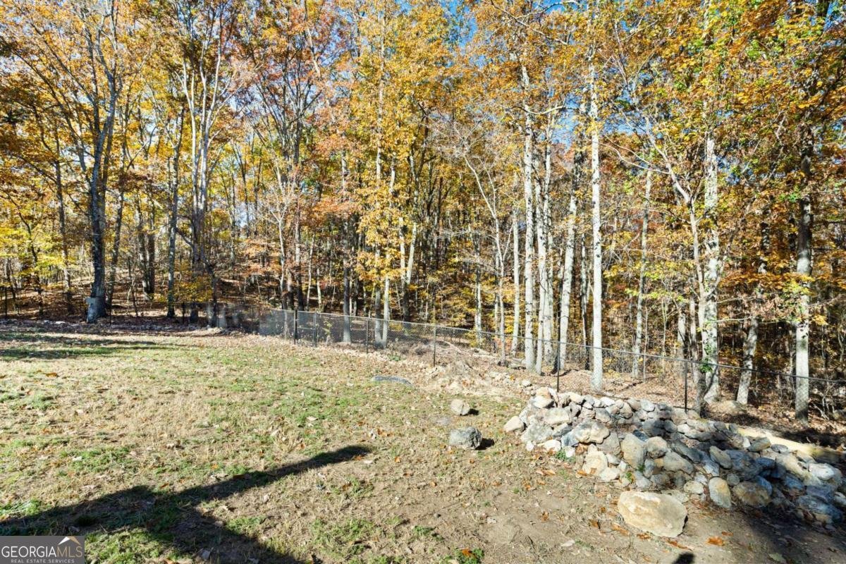 20 Mountain View Court Cartersville - 11