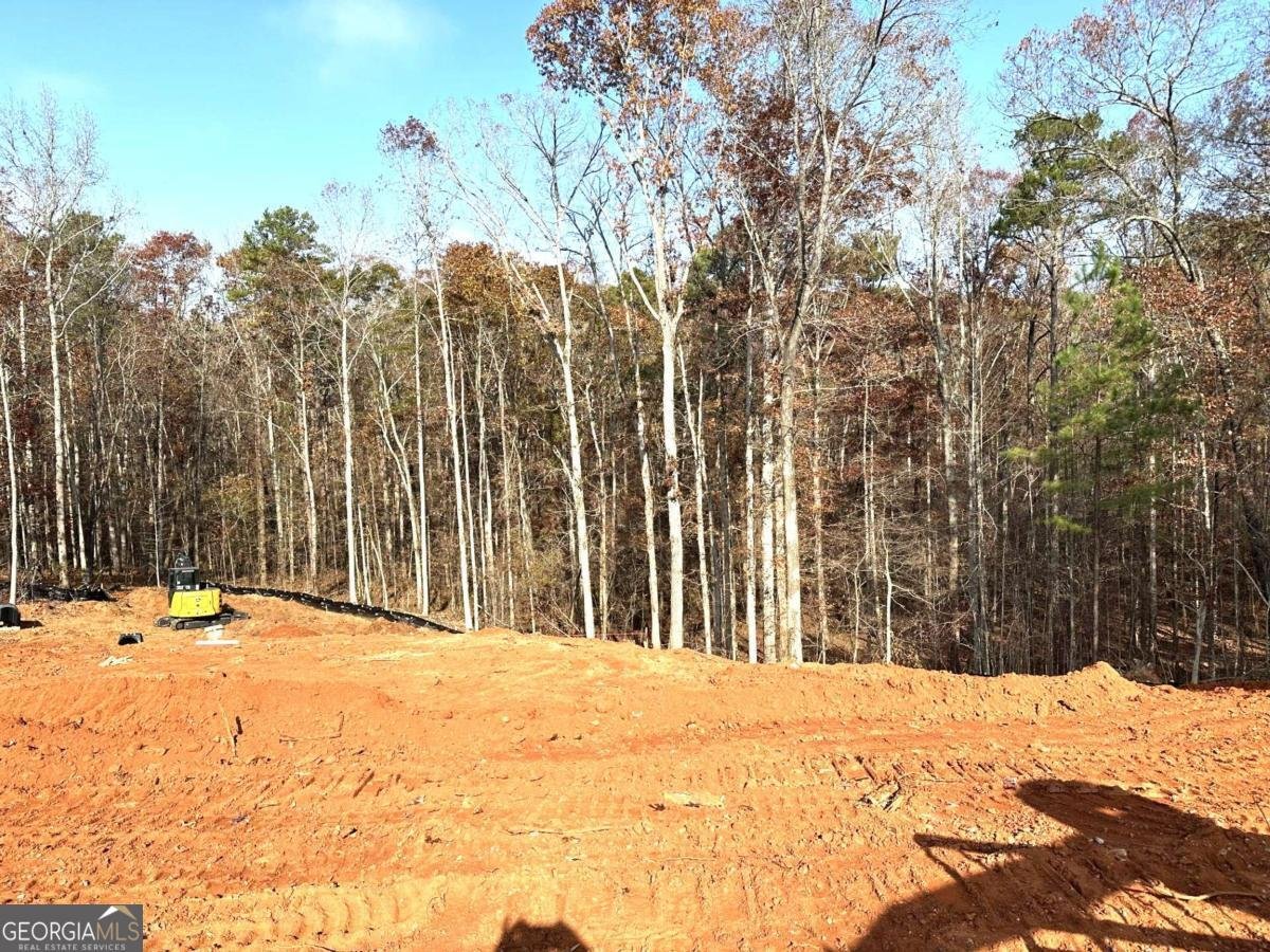 2012 Shoal Creek Way Bishop - 4