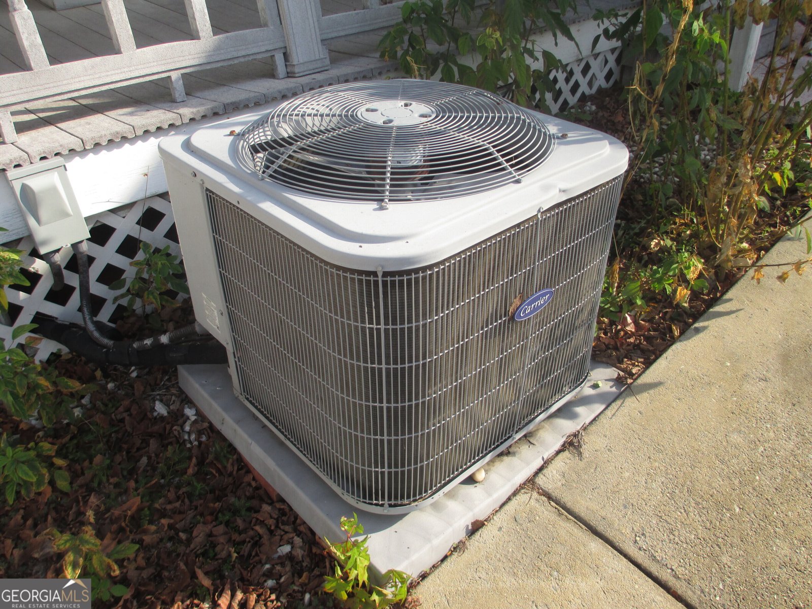 4262 GA Highway 15 Vidalia - 38