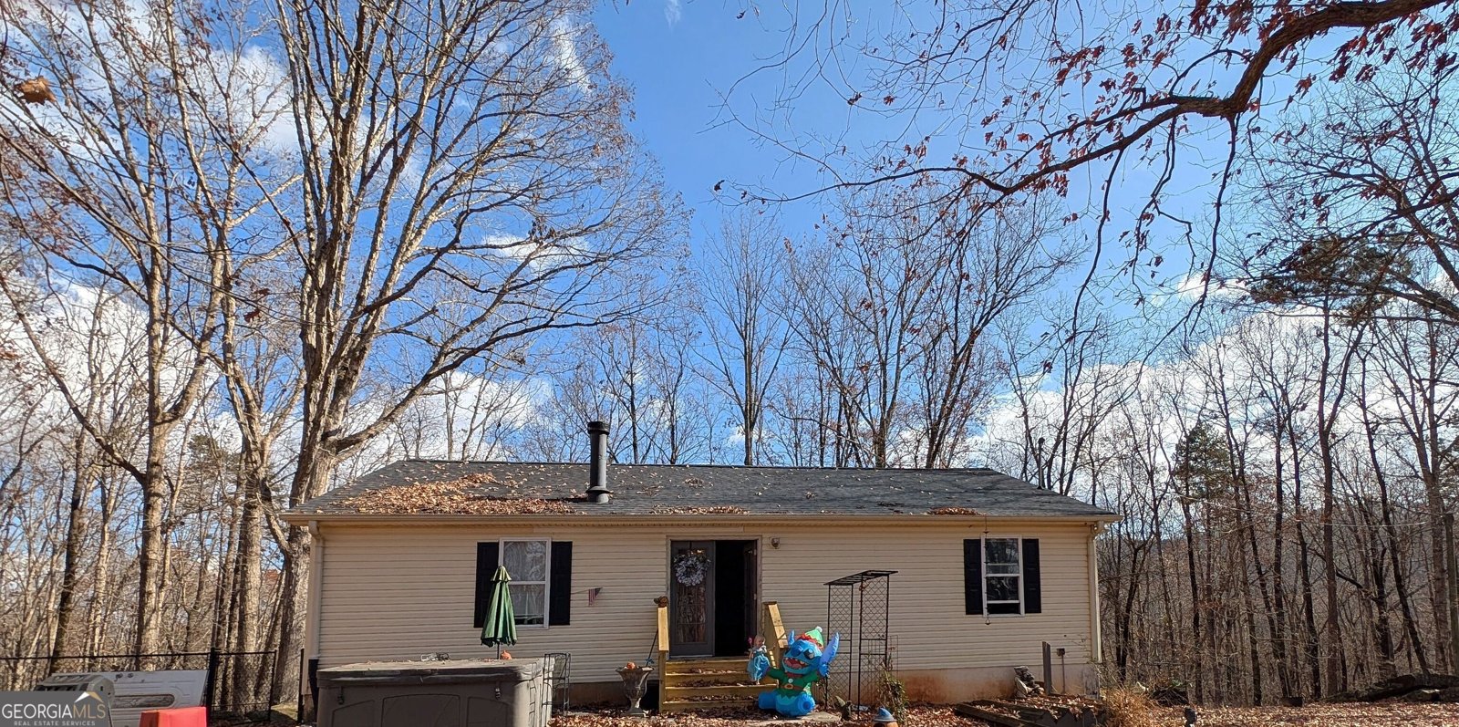 112 Lumpkin View Drive Cleveland - 1