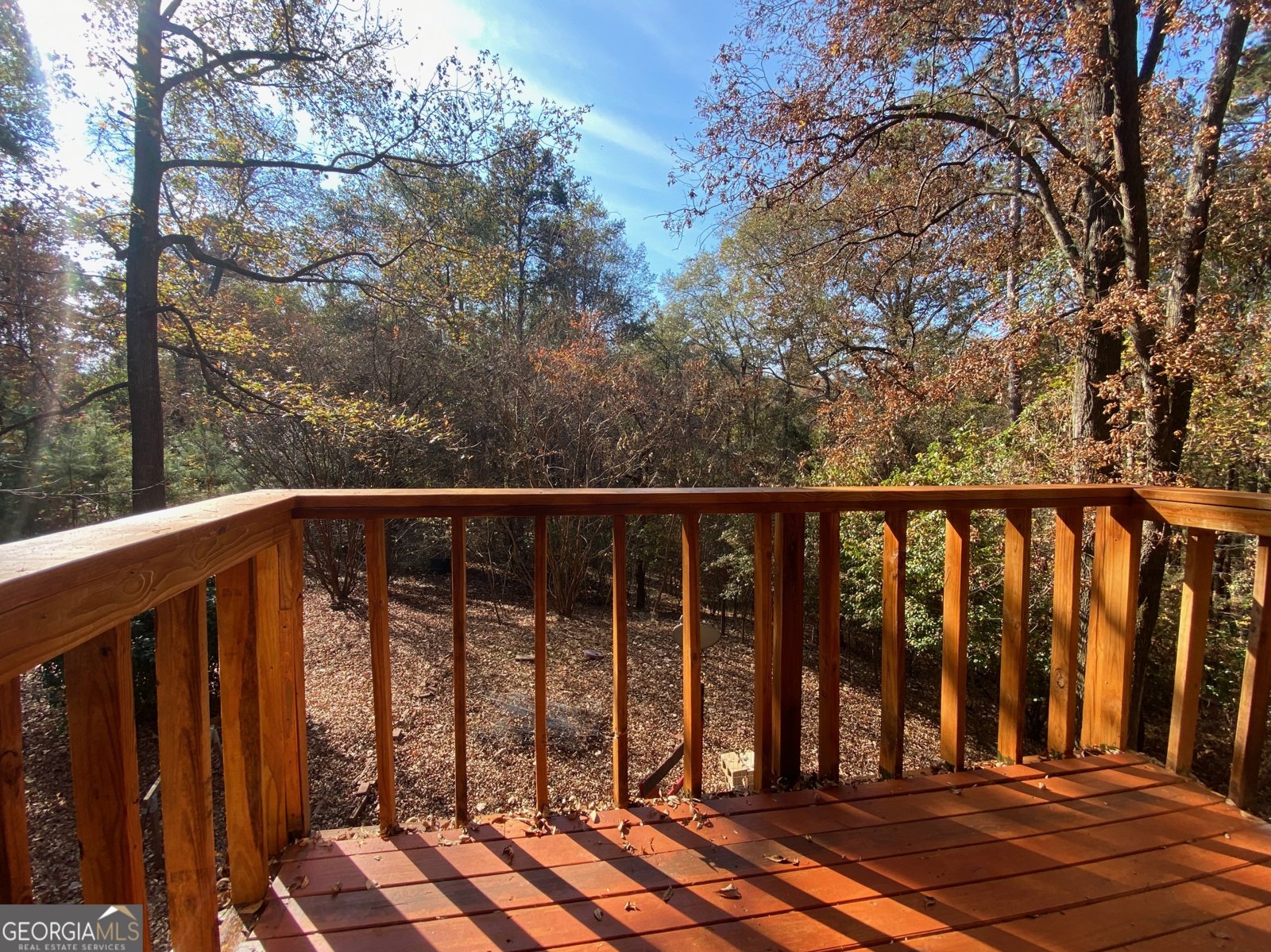 231 Seminole Drive Byron - 18