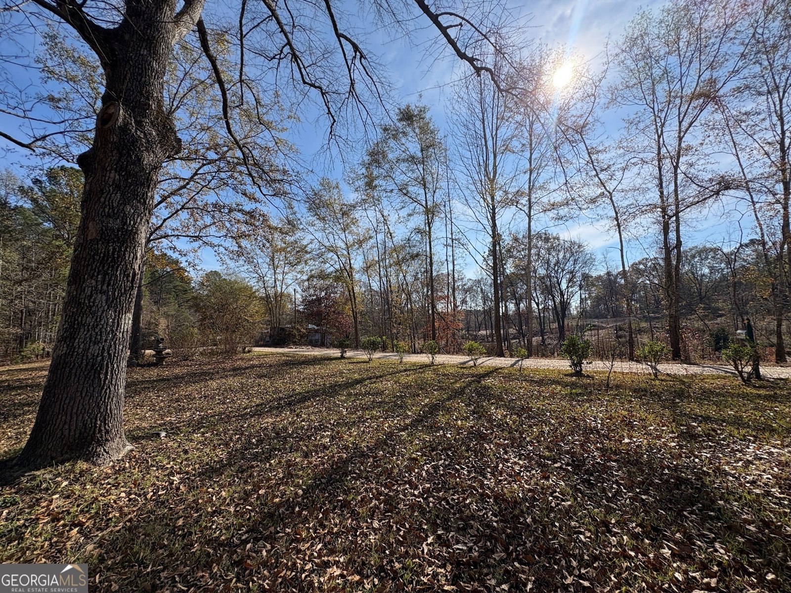 17 Norwood Road Franklin - 19