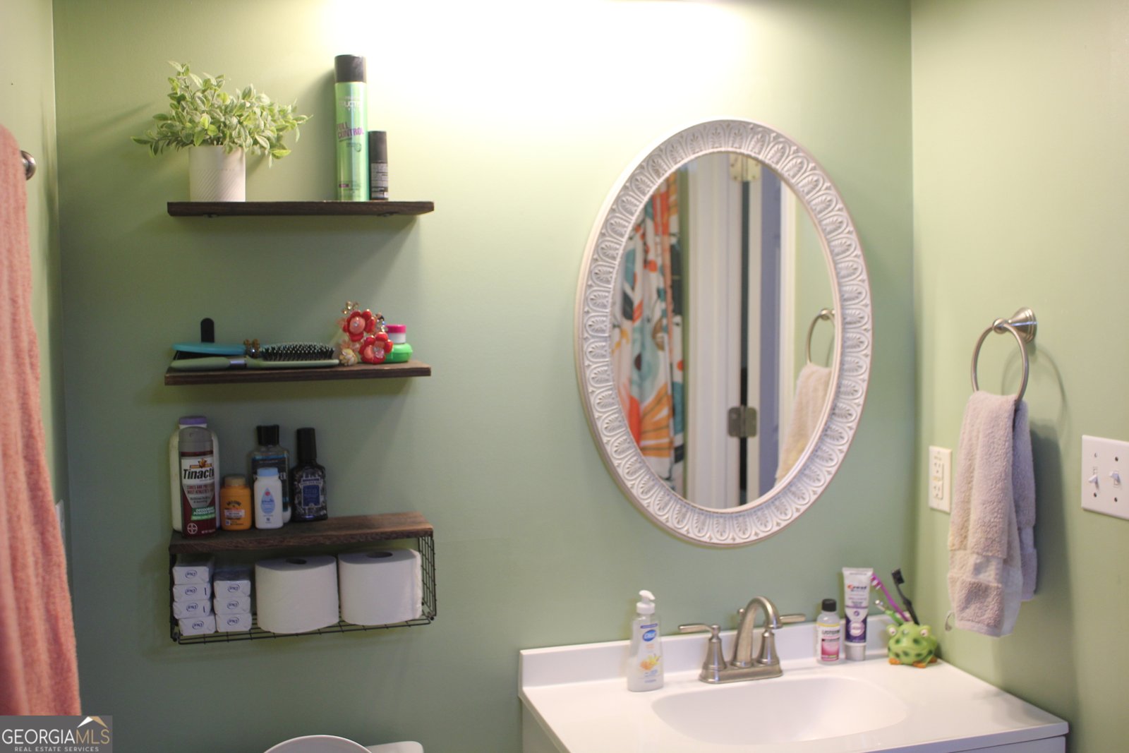 2850 Isaac Akins Road Statesboro - 27