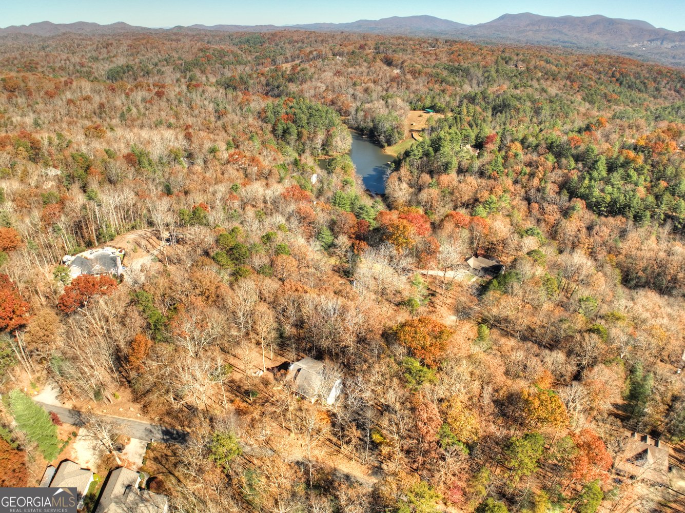 122 D J Lane Ellijay - 8