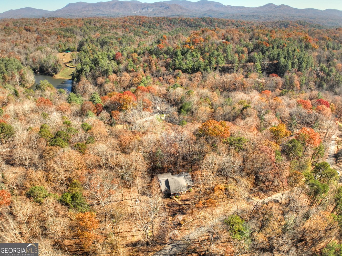 122 D J Lane Ellijay - 9