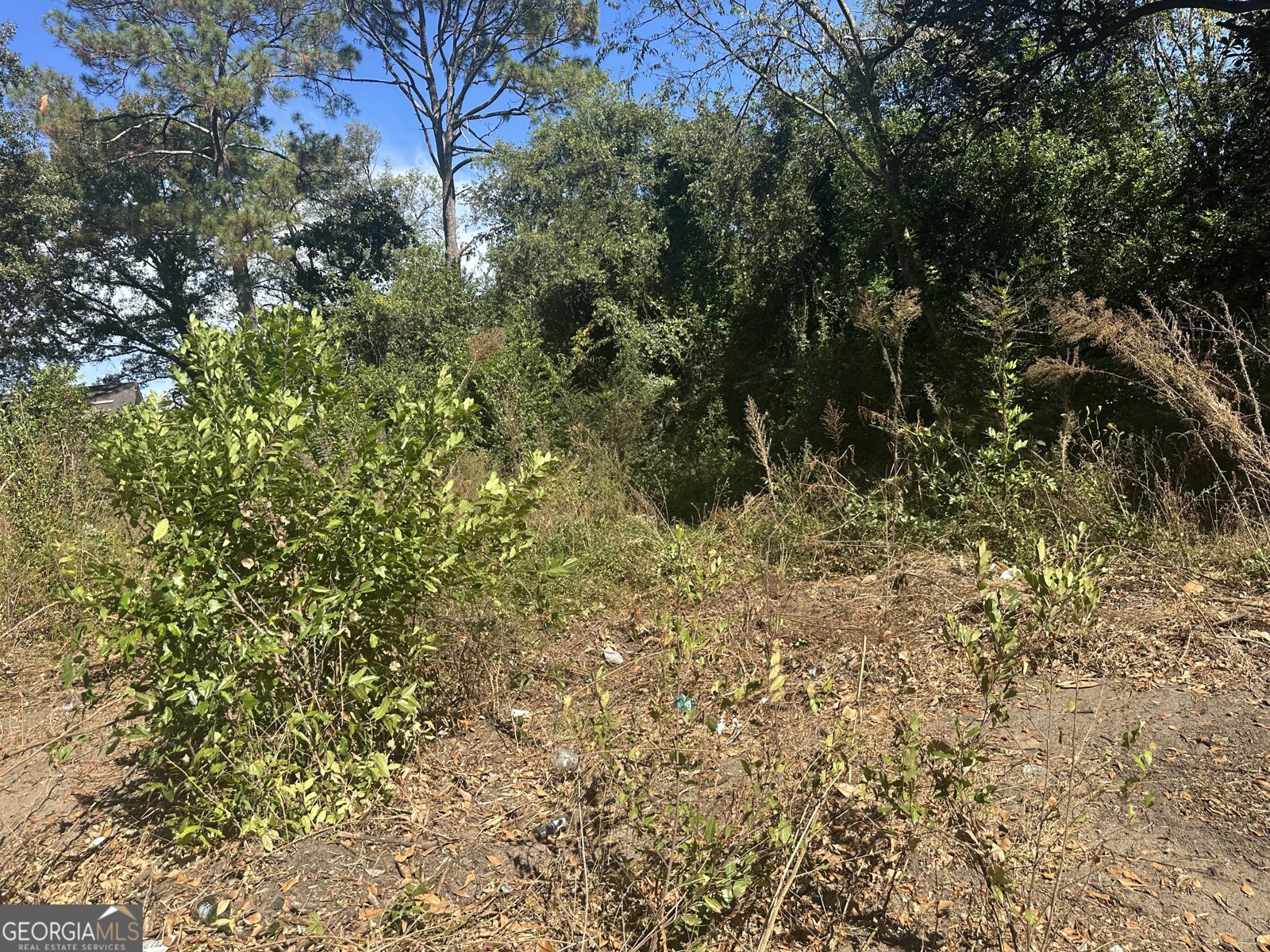 358 Pittman Street Macon - 1