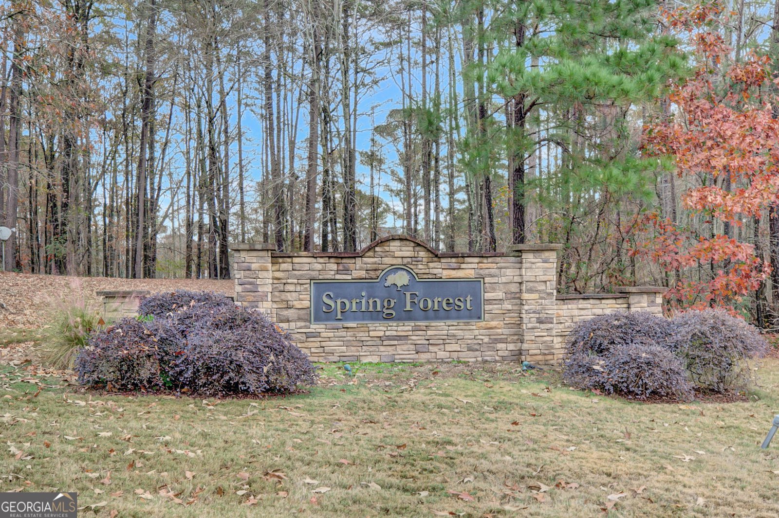 90 Spring Forest Trail Sharpsburg - 3