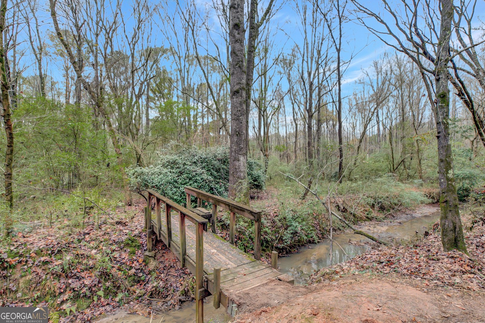 90 Spring Forest Trail Sharpsburg - 66