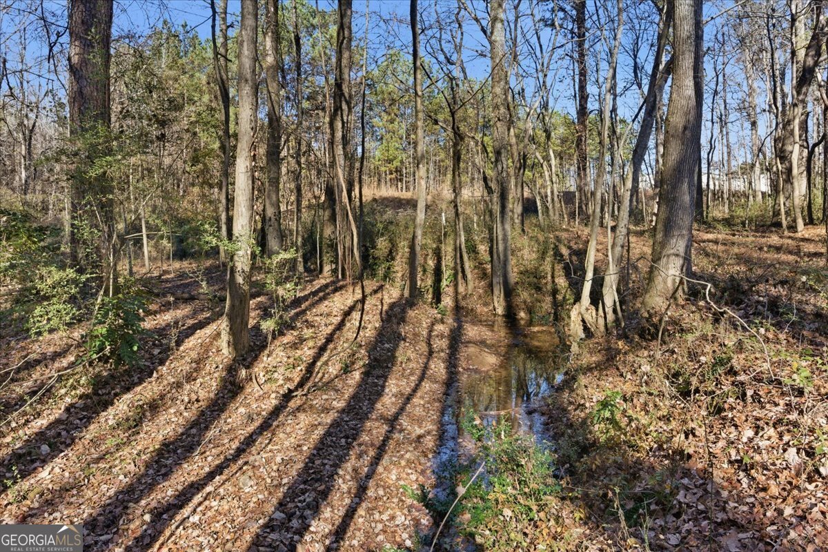 1122 Whispering Hills Drive Bremen - 37