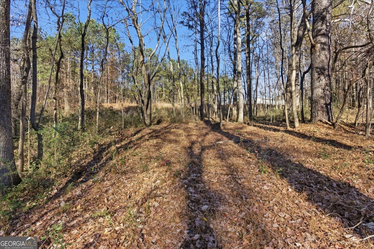 1122 Whispering Hills Drive Bremen - 39