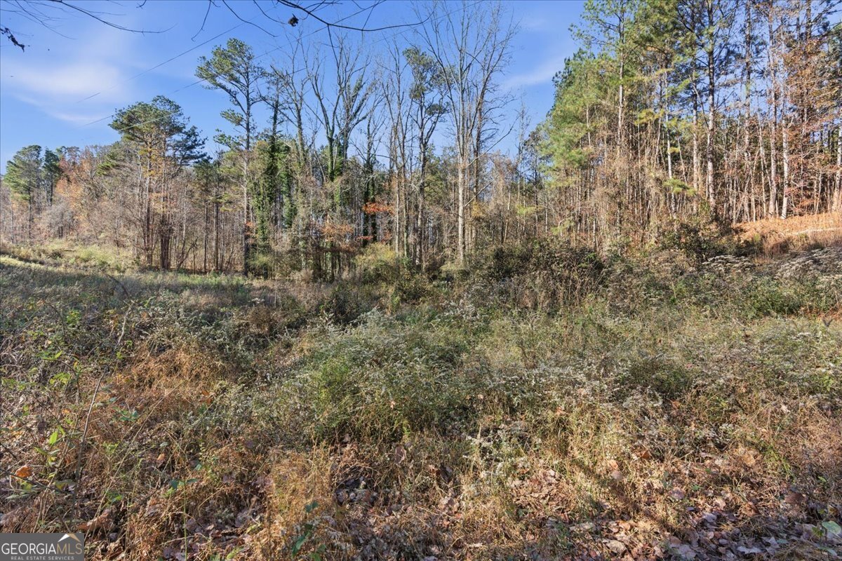 1122 Whispering Hills Drive Bremen - 41