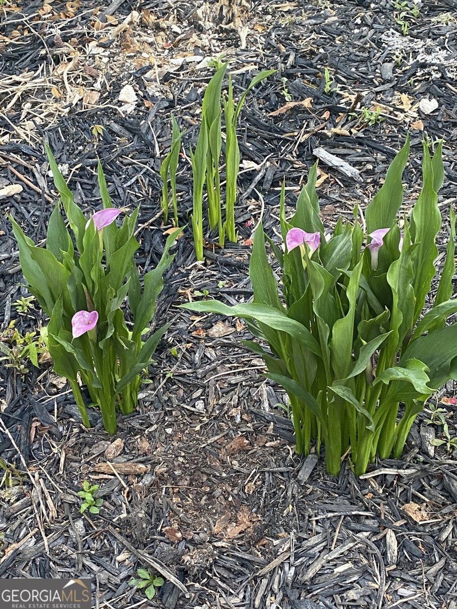 4215 Pheasant Run Trace Cumming - 11