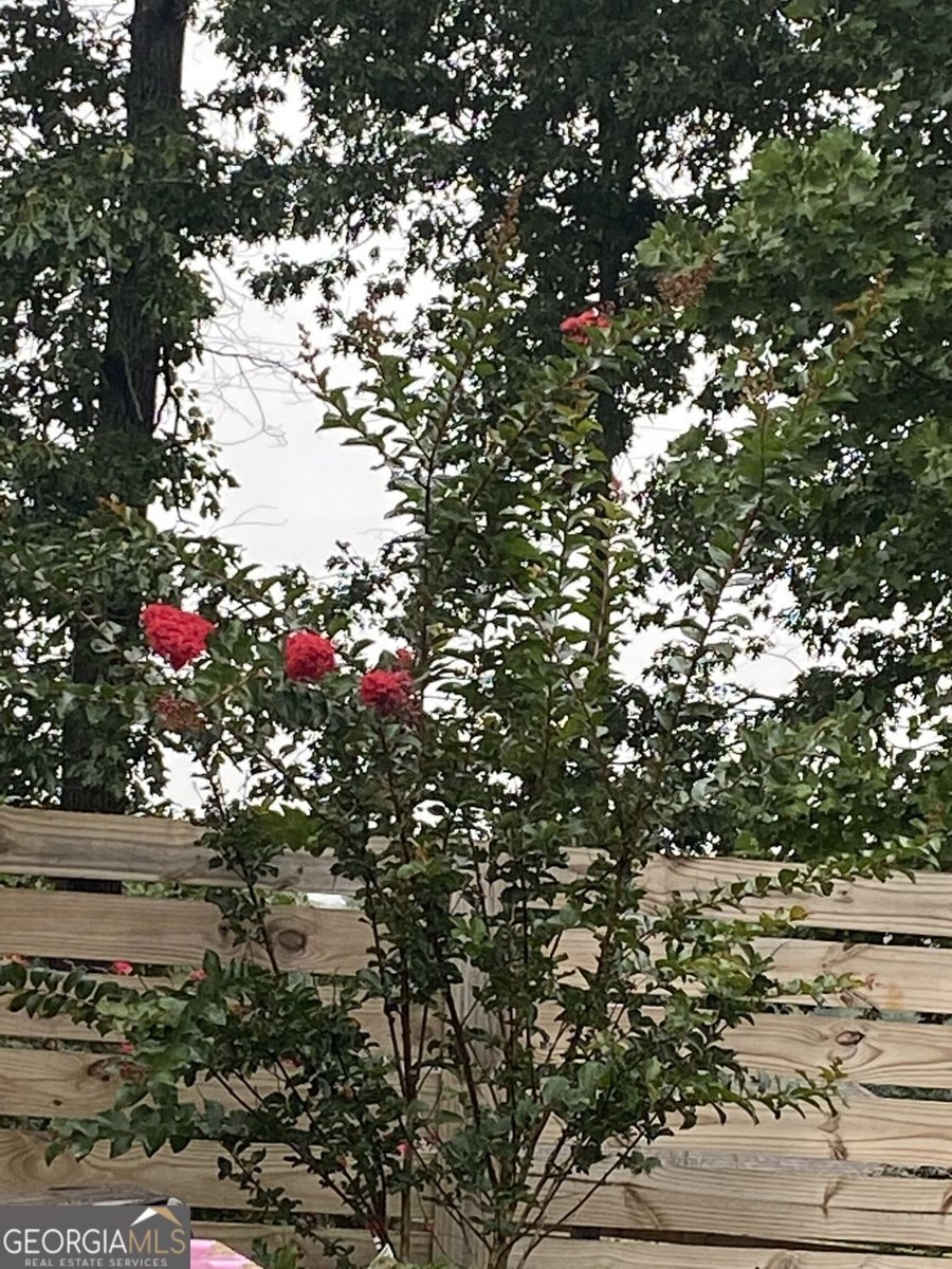 4215 Pheasant Run Trace Cumming - 13