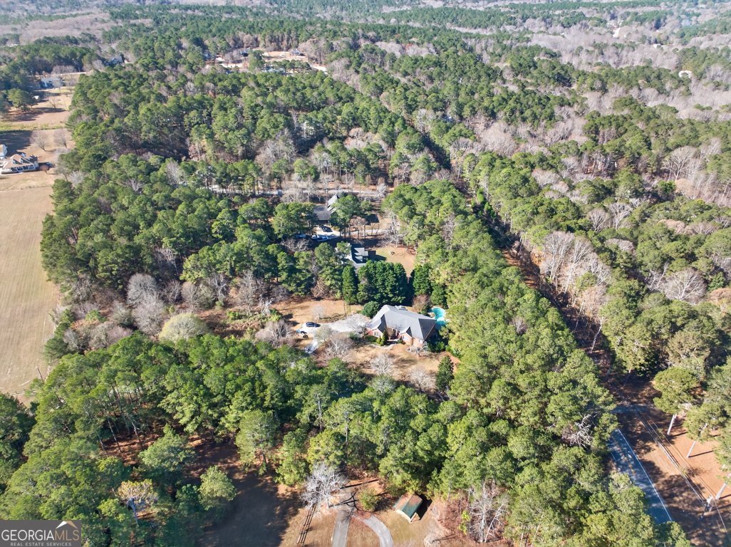 2051 Lindsay Lane Dacula - 51