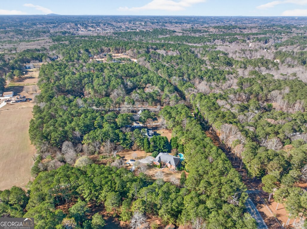 2051 Lindsay Lane Dacula - 52