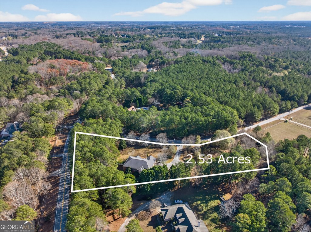 2051 Lindsay Lane Dacula - 54