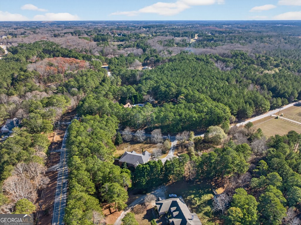 2051 Lindsay Lane Dacula - 55