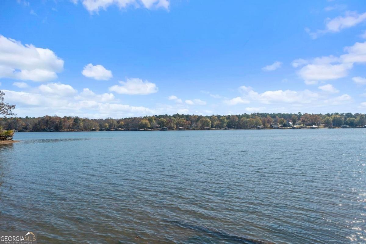 462 Rockville Springs Drive Eatonton - 3