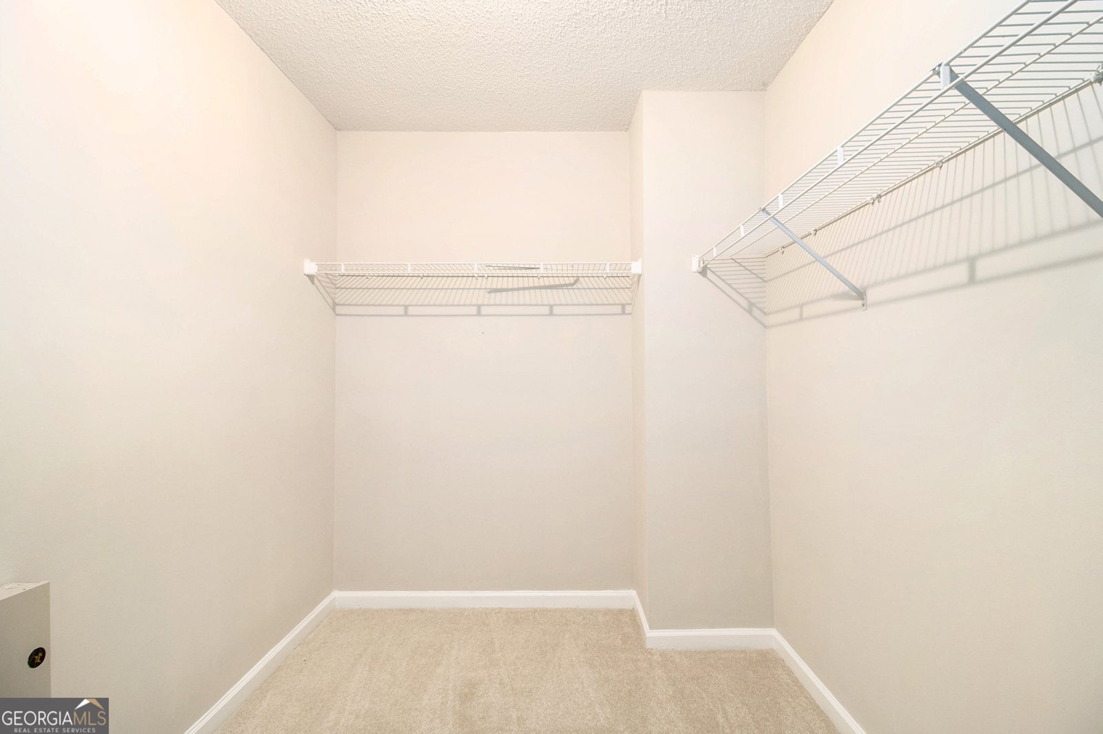 4450 Ivy Fork Drive Loganville - 24