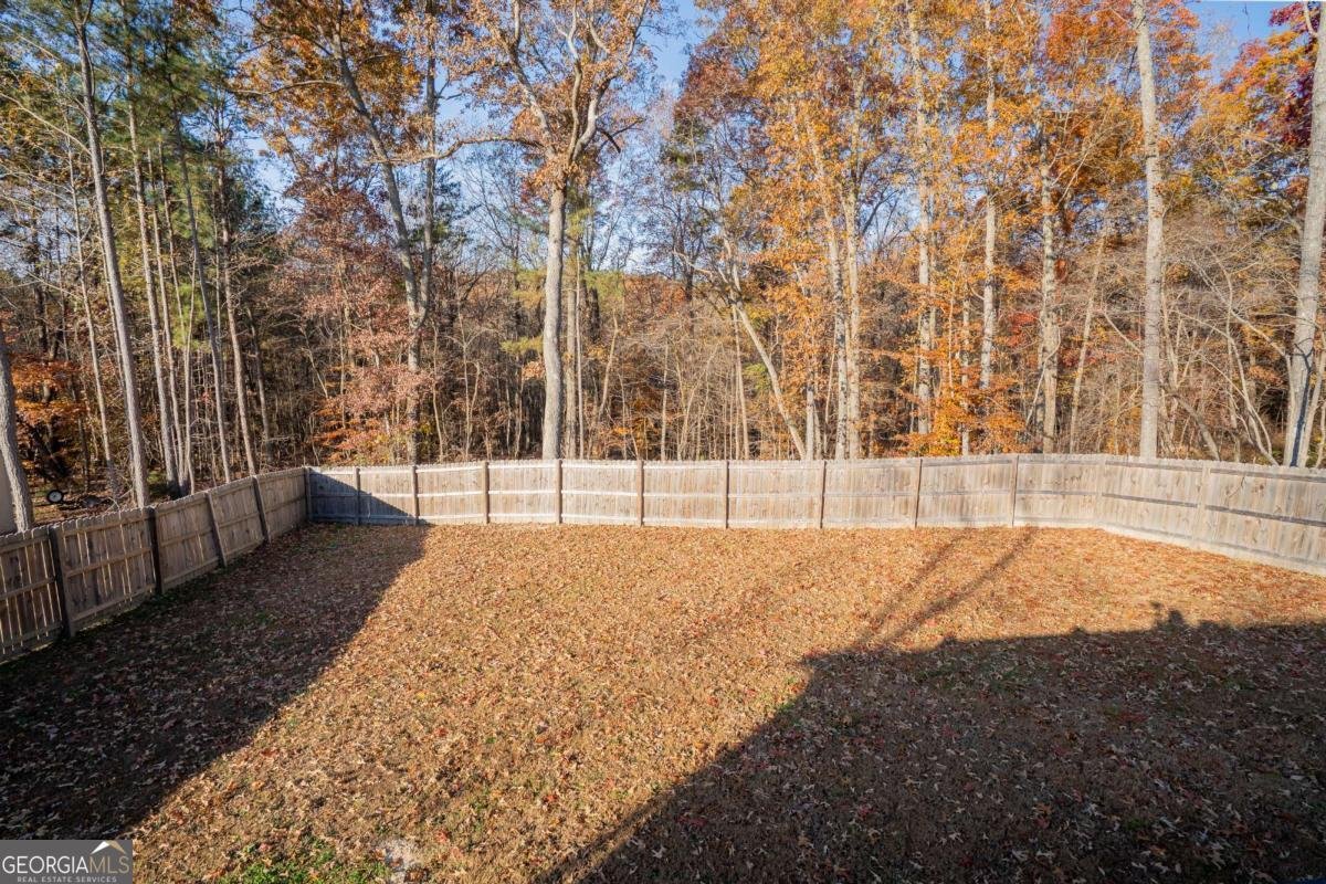 2708 Quarles Road Rocky Face - 36