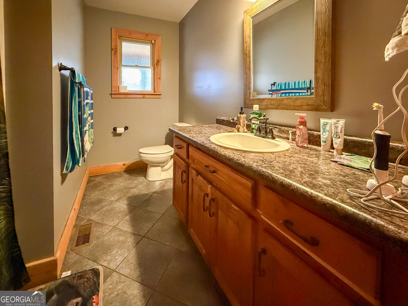 161 Twisting Ridge Trail Demorest - 9