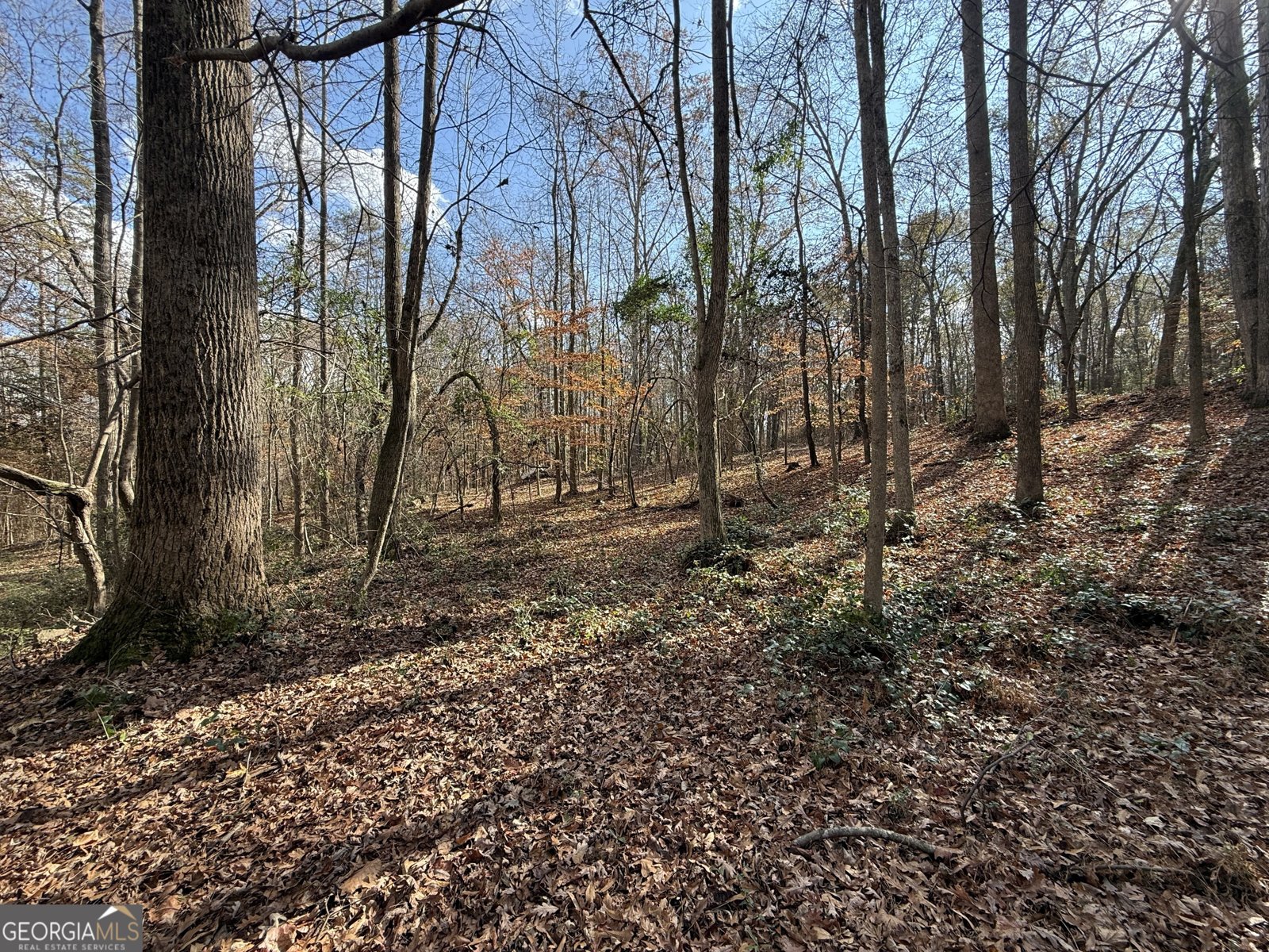 344 Mitchell Road Maysville - Photo 7