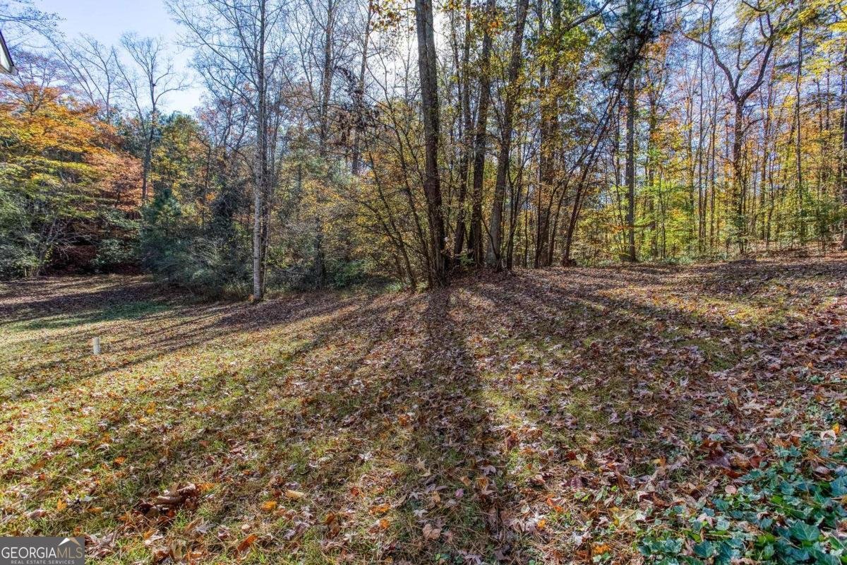 235 Peach Crossing Drive Dallas - 41