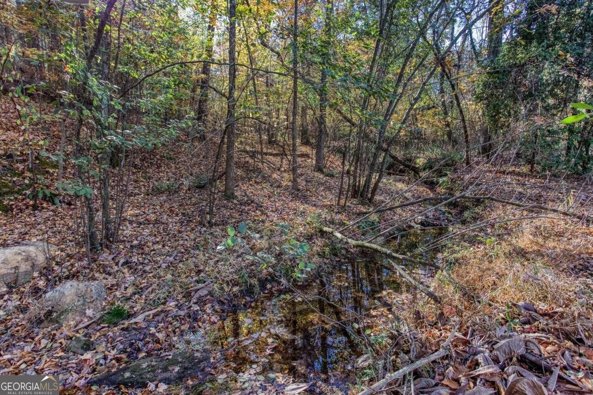 235 Peach Crossing Drive Dallas - 43