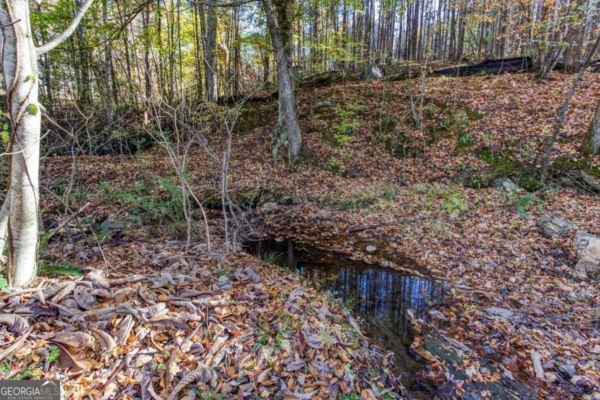 235 Peach Crossing Drive Dallas - 44