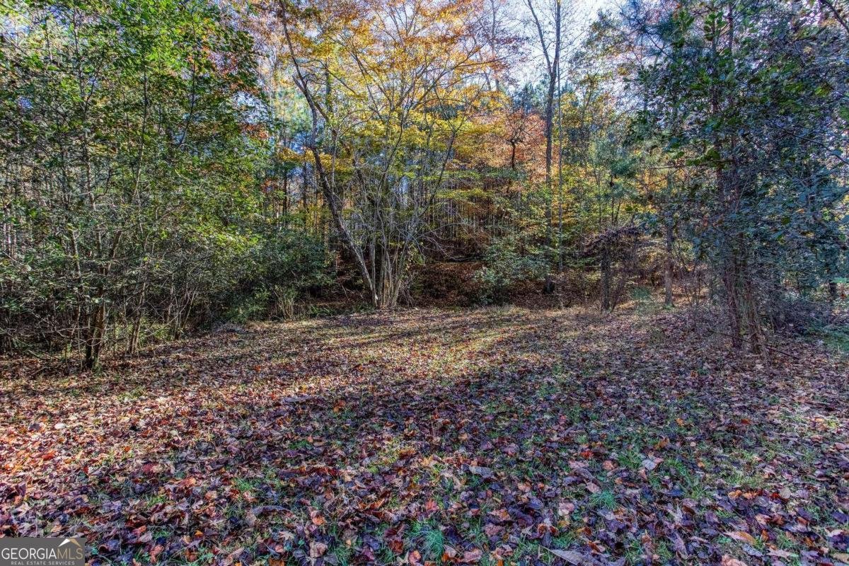 235 Peach Crossing Drive Dallas - 46