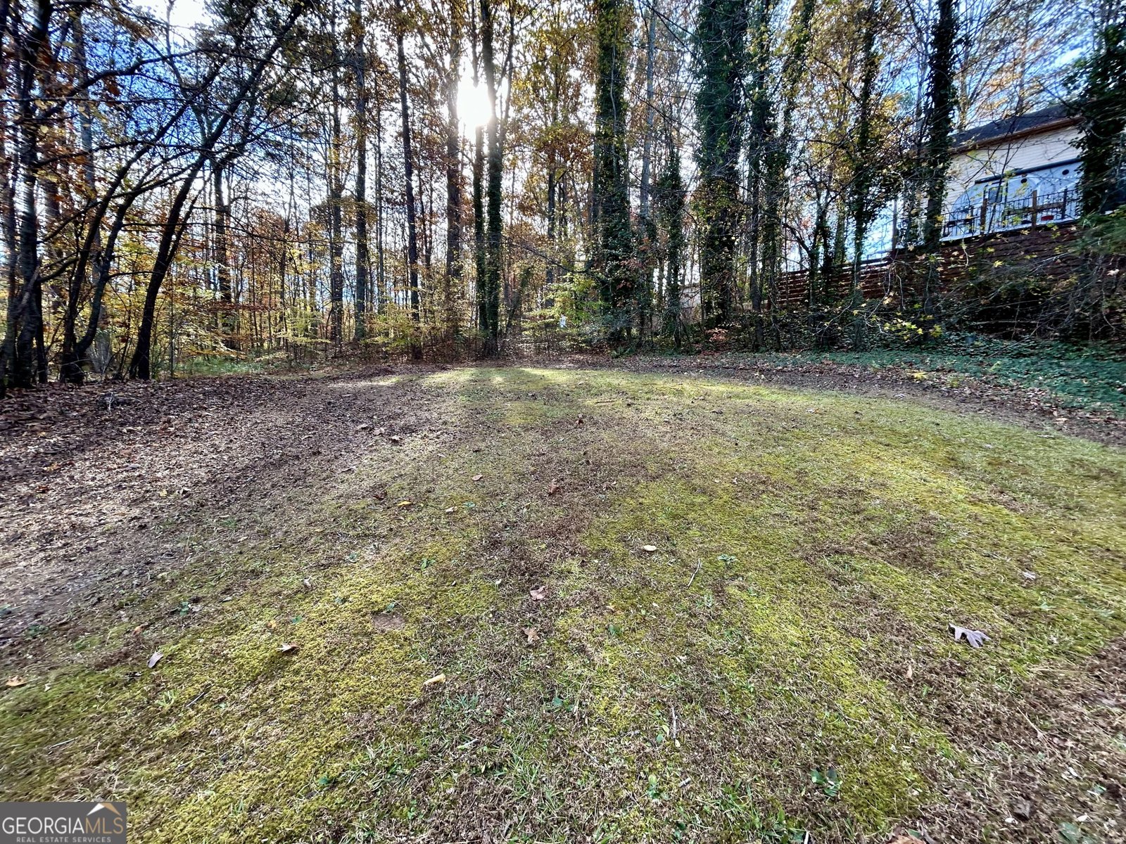 235 Peach Crossing Drive Dallas - 51