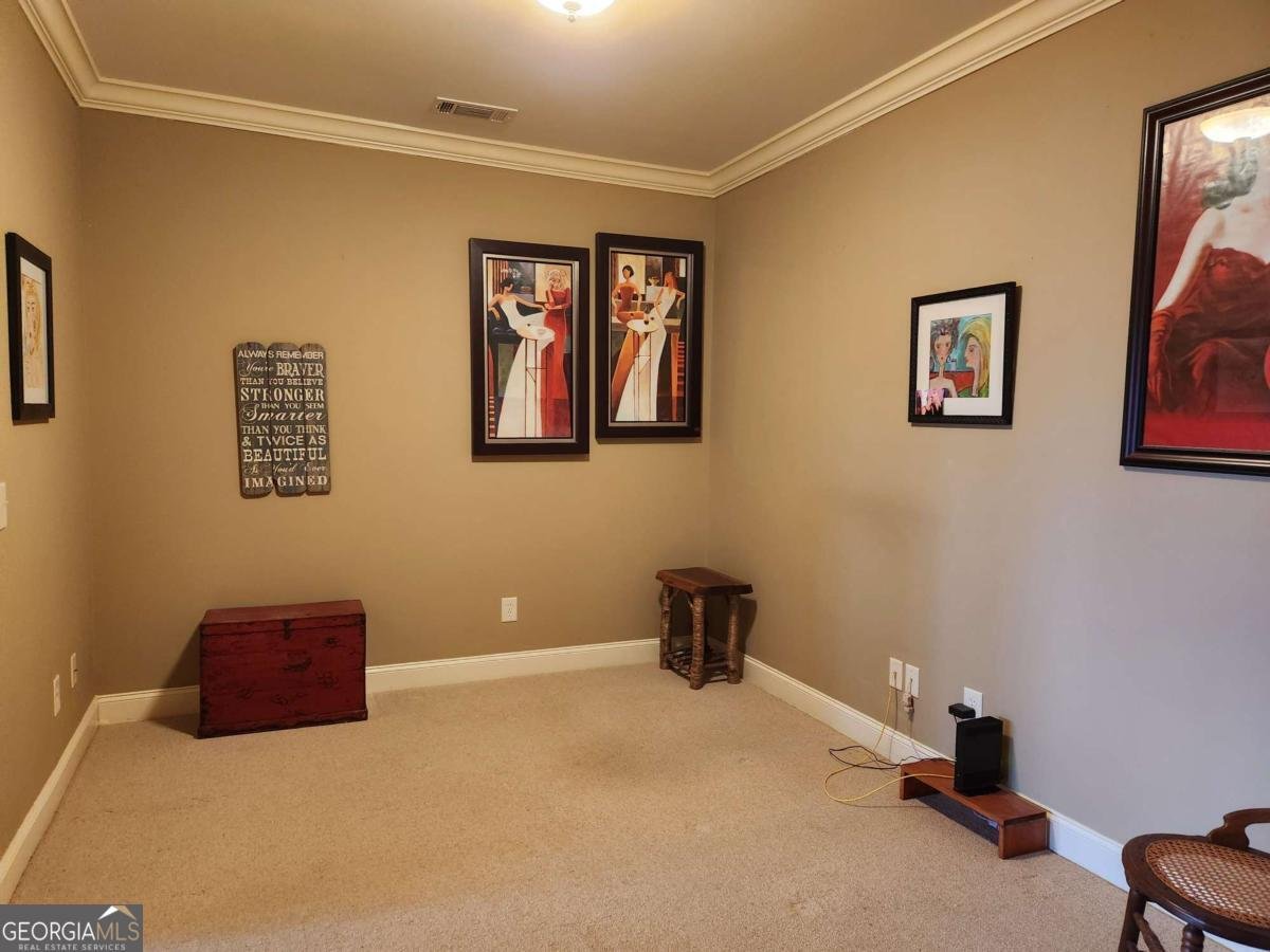 85 SUMMIT CANYON Road Dahlonega - 11