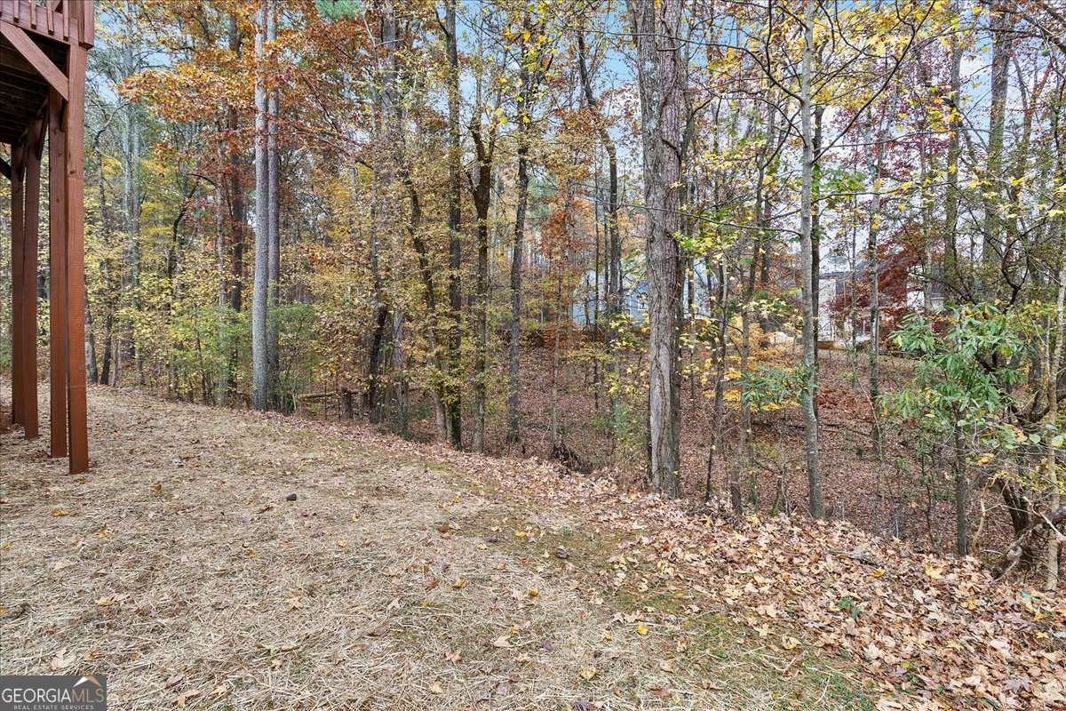 4793 Galloways Farm Lane Acworth - 11