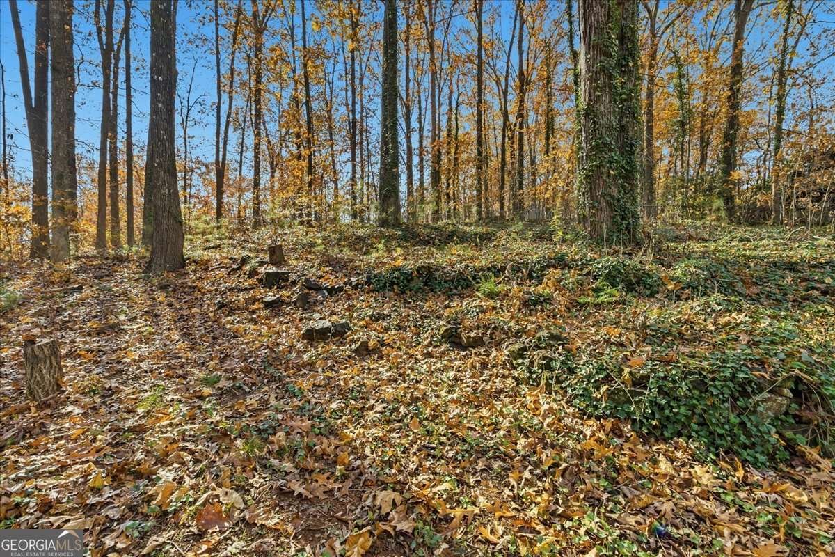 4758 Jamerson Forest Circle Marietta - 6