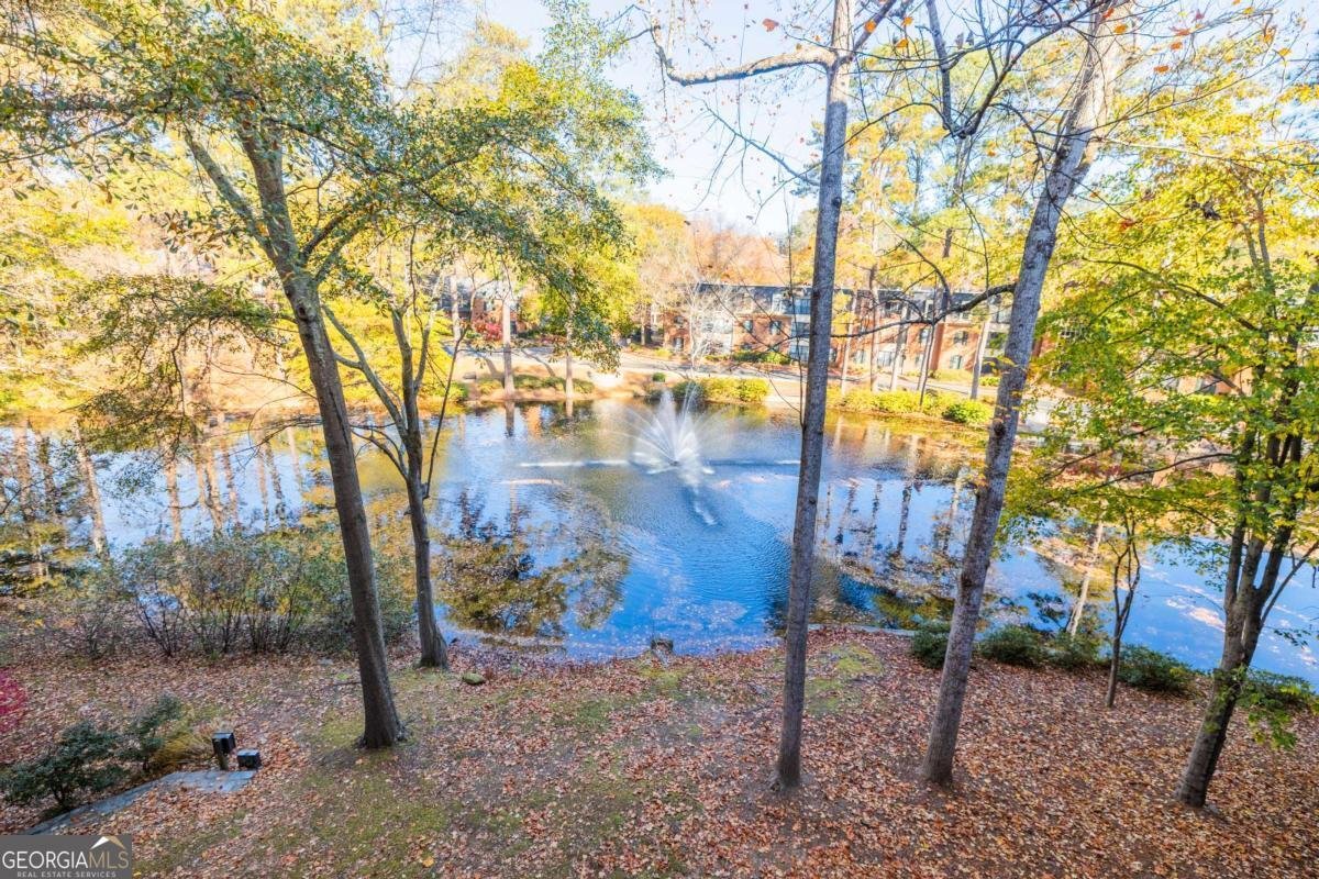 28207 Plantation Drive Atlanta - 10