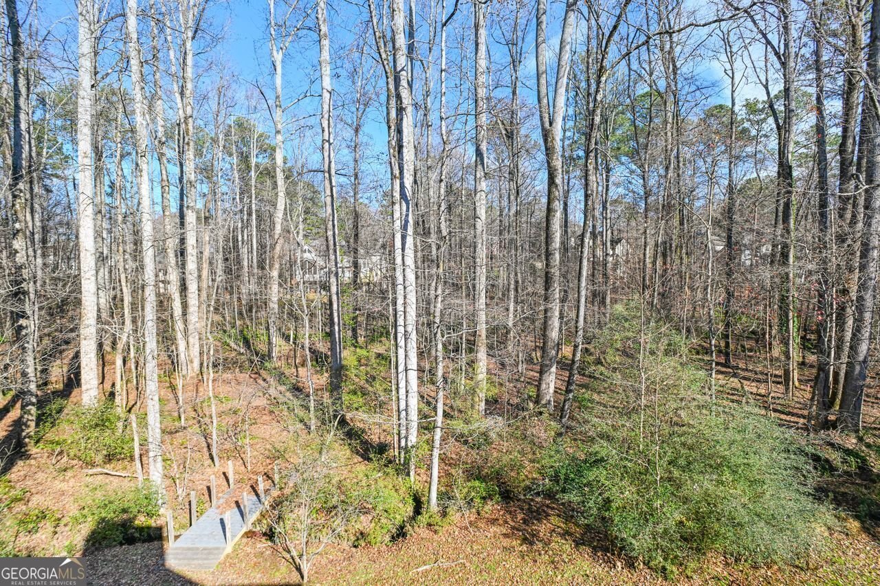 1525 HABERSHAM Place Cumming - 42