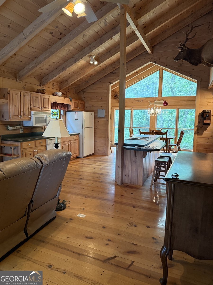 215 Hemlock Drive Suches - 9