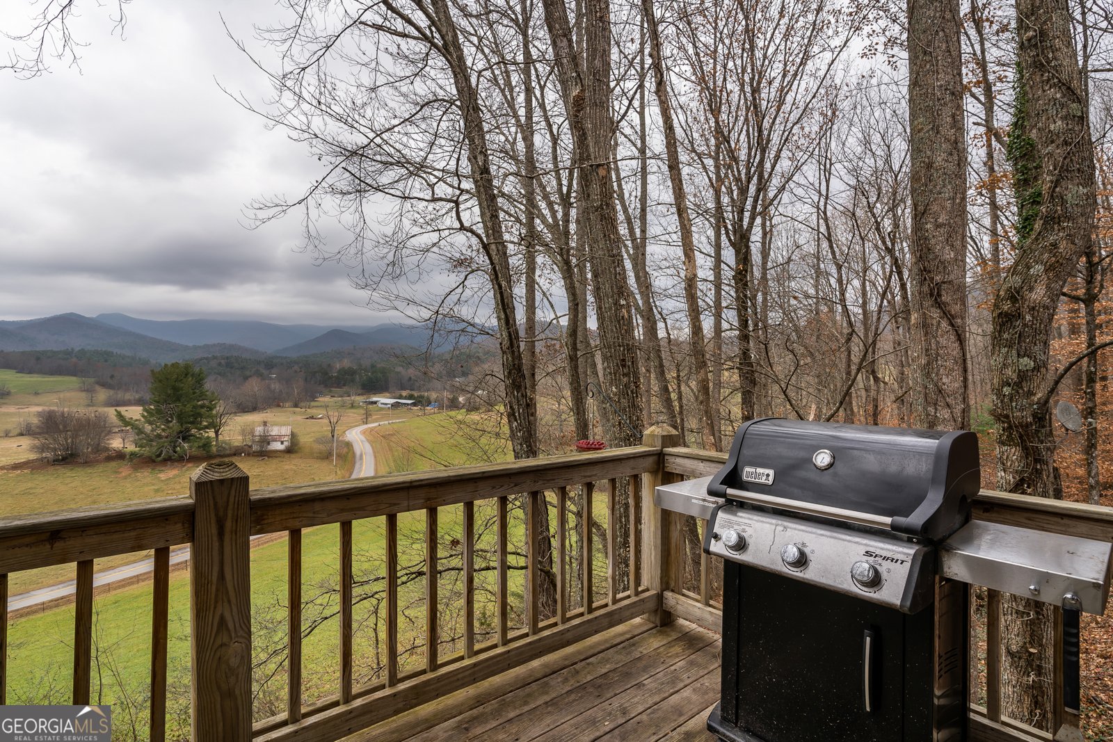 115 Barnhill Road Blairsville - 11
