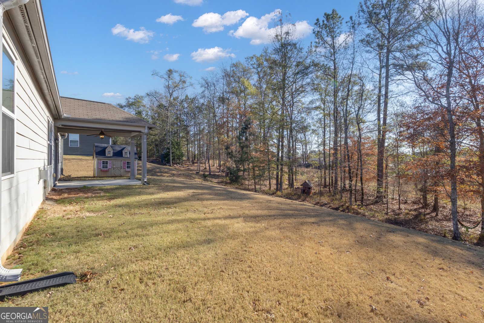 170 Savannah Drive Senoia - 41